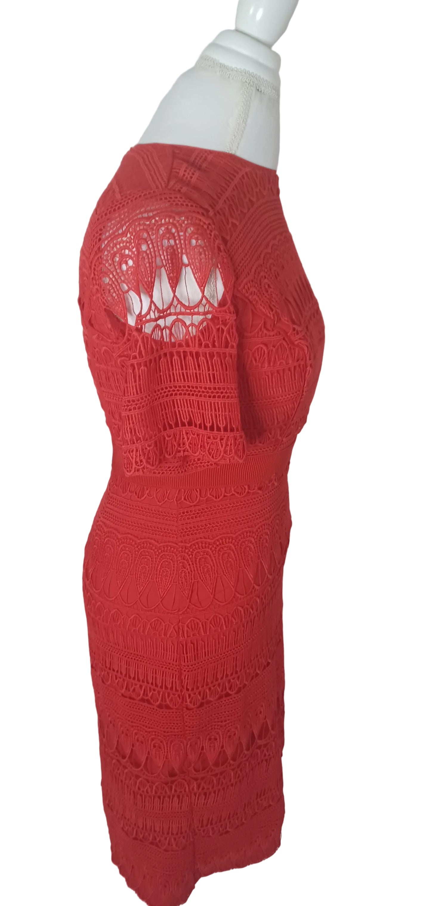 Eva Mendes NY&C Red Lace Dress Size XS